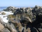 Monterey