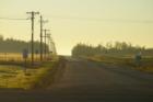 Ar118691845043146_l