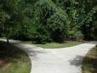 Celebration Florida Walking Trails.