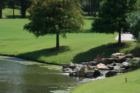 Heron in water - picture taken at Augusta Pines Golf Club.