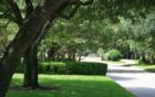 One of the many tree lined streets - this picture was taken in Memorial Northwest.