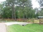 If you are looking for a community with lots of horses Magnolia is the place for you.