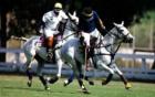 Will Rogers Polo
      Pacific Palisades
      Dominic Naidoo
      310.968.0418