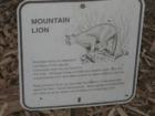 Mountain Lion Warning
      Pacific Palisades
      Dominic Naidoo
      310.968.0418