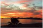 Sunset
      Pacific Palisades
      Dominic Naidoo
      310.968.0418