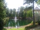 Picture of the pond at Park Village next to the clubhouse & gazebo. 