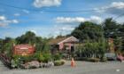 Eisele's Garden Shop in Paramus New Jersey