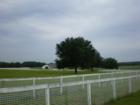 Horse Country in Lake County - Howey in the Hills.