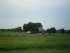 Horse Country in Lake County - Howey in the Hills.