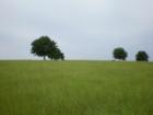 Horse Country in Lake County - Howey in the Hills.