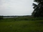 Horse Country in Lake County - Howey in the Hills.