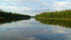 Irishtown Nature Park - view from a portion of the trails