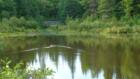 Irishtown Nature Park - walking trail bridge