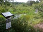 Lost Creek Bog is a fantastic habitat area for many rare species of flora and fauna near Cornucopia, Wisconsin.