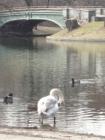 prospect park