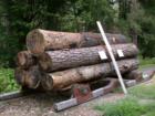 Logging exhibit at the Brule River State Forest Ranger Station. In earlier times, the logs were bound with chain and hauled out of the forest on timber sleds.