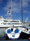 Transpac Yachts in Downtown Long Beach's Rainbow Harbor 