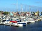 Transpac Yachts in Downtown Long Beach's Rainbow Harbor 