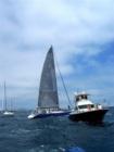 Transpac '07 Yachts leaving Long Beach Harbor - Heading for the finish line at Waikiki, Hawaii