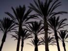 Dusk over Long Beach