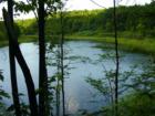 Townline Road Property View