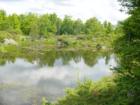 Beaver pond off Access Road