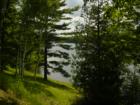 Black Lake view