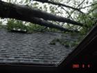Moose Lake tornado passes through uprooting trees and causing lightning strikes. Large tree on cottage roof.