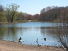Van Saun Lake Paramus New Jersey