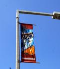 Anaheim Turns 150!