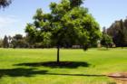 Dad Miller Golf Course located in West Anaheim.  Adjacent to the Golf Course is the Tiger Woods Training Center.