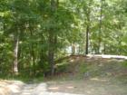 Shady Grove Park and Lake Lanier; Cumming, Georgia Teresa Johnson and Associates; 770-888-0021; www.AtlantaHomeStore.com