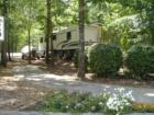 Shady Grove Park and Lake Lanier; Cumming, Georgia Teresa Johnson and Associates; 770-888-0021; www.AtlantaHomeStore.com