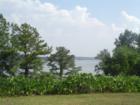 Mountain View Park on Lake Lanier in Gainesville, Georgia (Forsyth County)! Teresa Johnson & Associates; RE/MAX Greater; http://www.atlantahomestore.com/(770) 888-0021; 