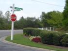 Adam's Landing Cumming, Georgia (Forsyth County)! Teresa Johnson & Associates; RE/MAX Greater; http://www.atlantahomestore.com/(770) 888-0021; 