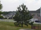 Adam's Landing Cumming, Georgia (Forsyth County)! Teresa Johnson & Associates; RE/MAX Greater; http://www.atlantahomestore.com/(770) 888-0021; 