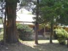 Young Deer Creek, Cumming, Georgia (Forsyth County)! Teresa Johnson & Associates; RE/MAX Greater; http://www.atlantahomestore.com/(770) 888-0021; 
