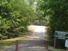 Young Deer Creek, Cumming, Georgia (Forsyth County)! Teresa Johnson & Associates; RE/MAX Greater; http://www.atlantahomestore.com/(770) 888-0021; 