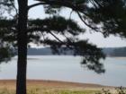 Young Deer Creek, Cumming, Georgia (Forsyth County)! Teresa Johnson & Associates; RE/MAX Greater; http://www.atlantahomestore.com/(770) 888-0021; 