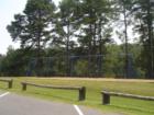 Young Deer Creek, Cumming, Georgia (Forsyth County)! Teresa Johnson & Associates; RE/MAX Greater; http://www.atlantahomestore.com/(770) 888-0021; 