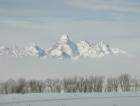Grand Teton view