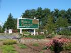 Weston Nurseries