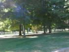 Town Common in the Summer
