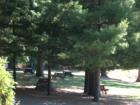 State Park Picnic Area