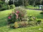 Flowers by the Train Station in Oradell New Jersey