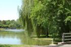 View of Zabriskie Pond (From Clinton Avenue) In Wyckoff, New Jersey