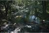 Murphys Creek