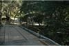 Bridge Murphys Creek