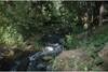 Murphys Creek