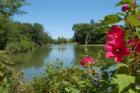 Wyckoff New Jersey - A wonderful place to call home
